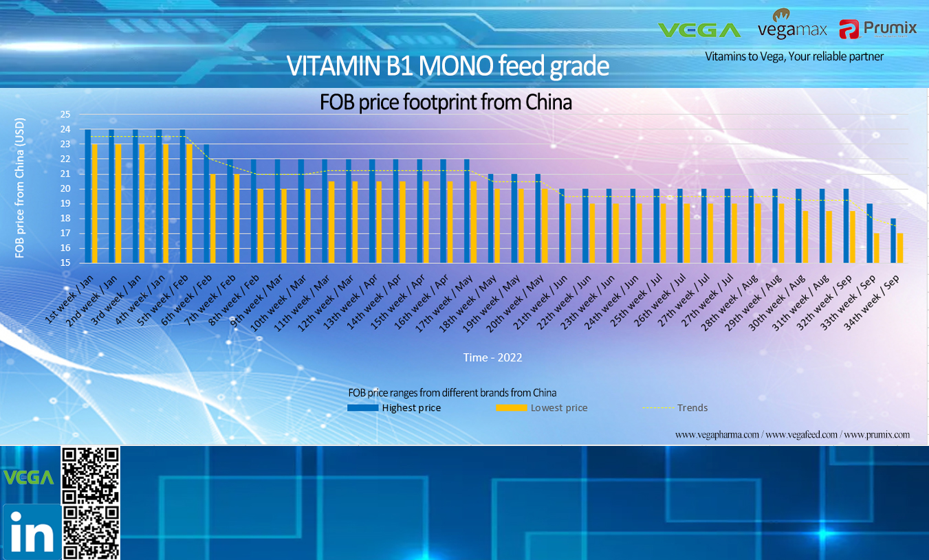 Vitamin B1 mono feed grade price footprint from China.jpg